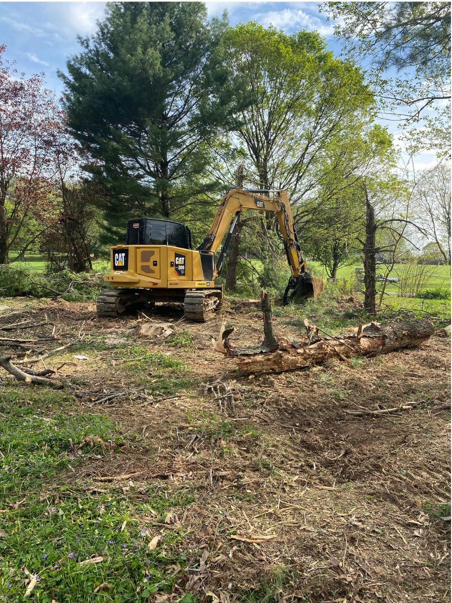 CAT excavator alongside stacked felled timber
