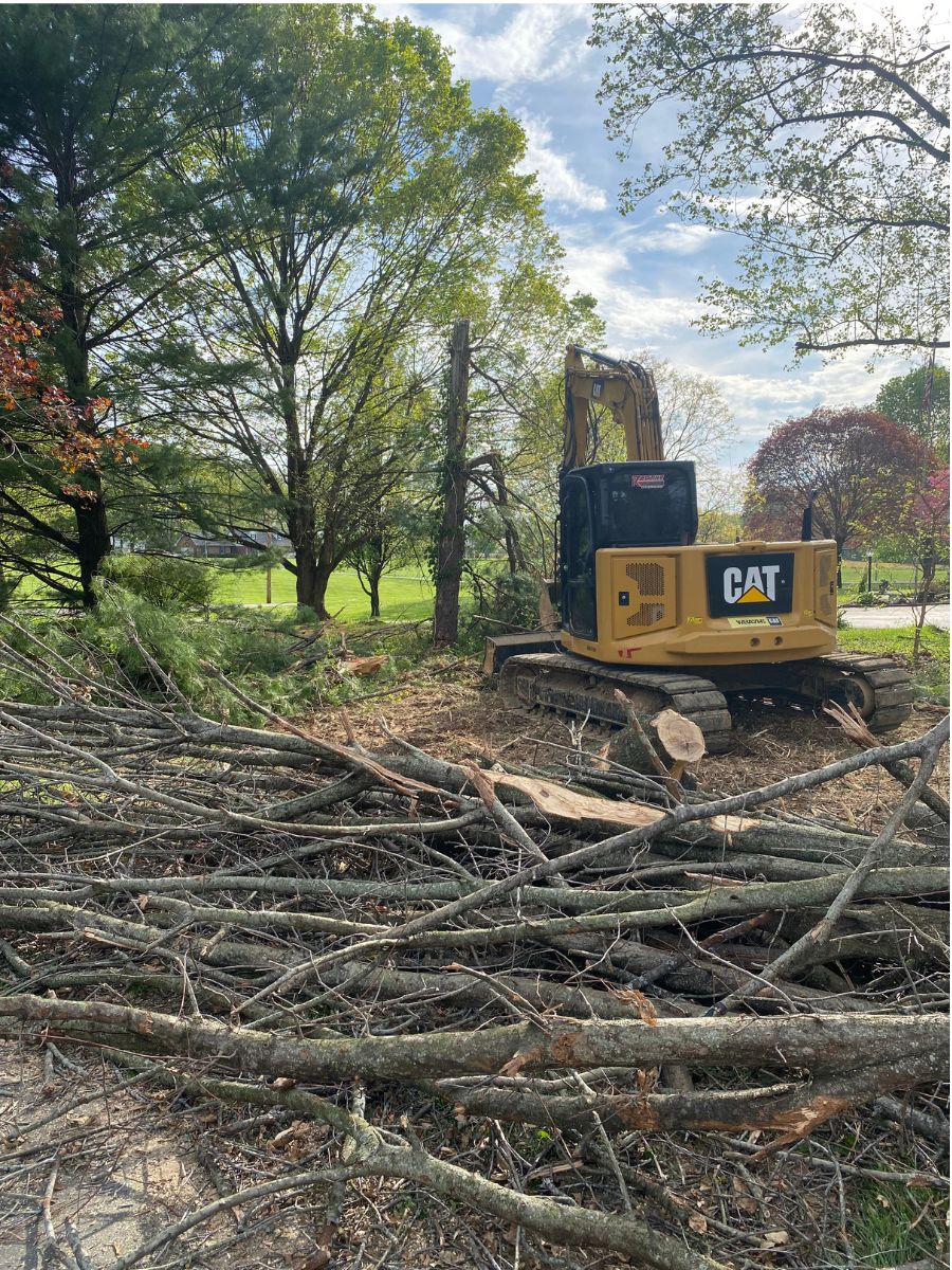 Cleared lot with stumps removed and ground leveled