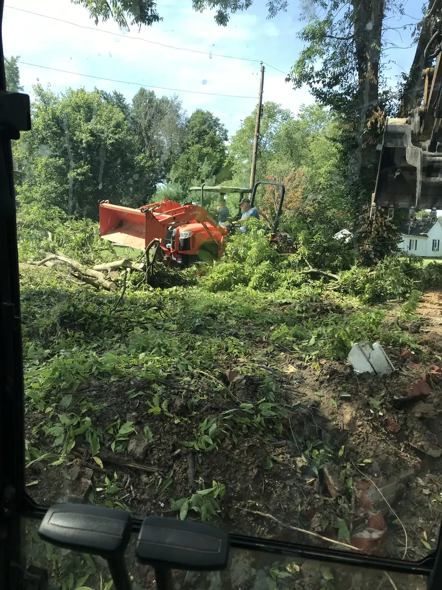 Tree removal and brush clearing in progress